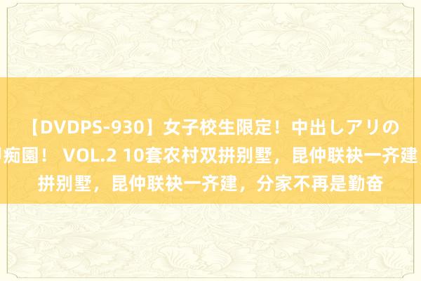 【DVDPS-930】女子校生限定！中出しアリの！腰フリダンス甲痴園！ VOL.2 10套农村双拼别墅，昆仲联袂一齐建，分家不再是勤奋