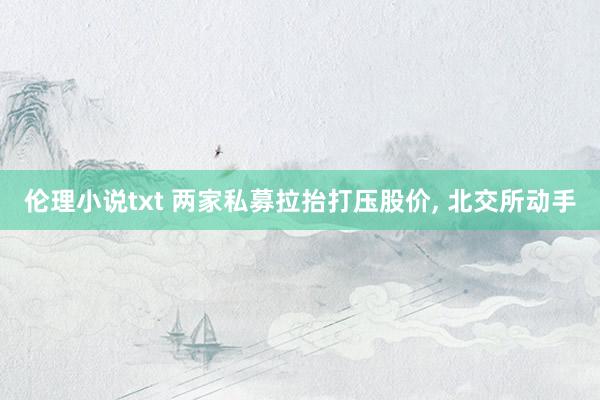 伦理小说txt 两家私募拉抬打压股价， 北交所动手
